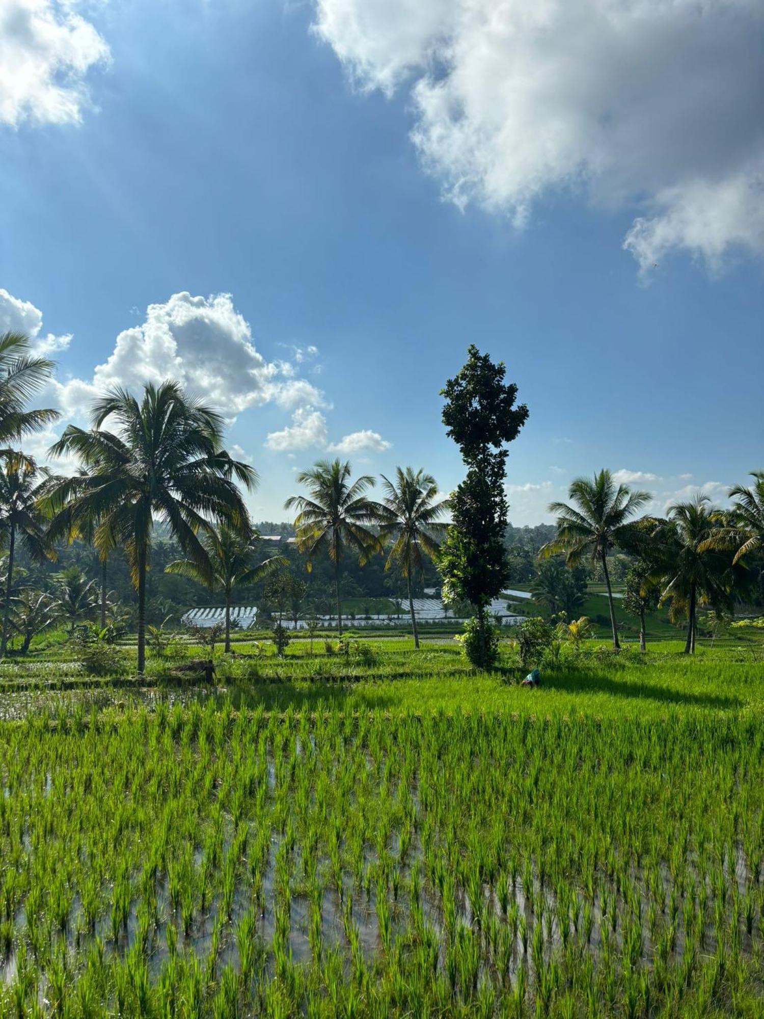 Muni'S Terrace Bungalow Kotaraja Buitenkant foto
