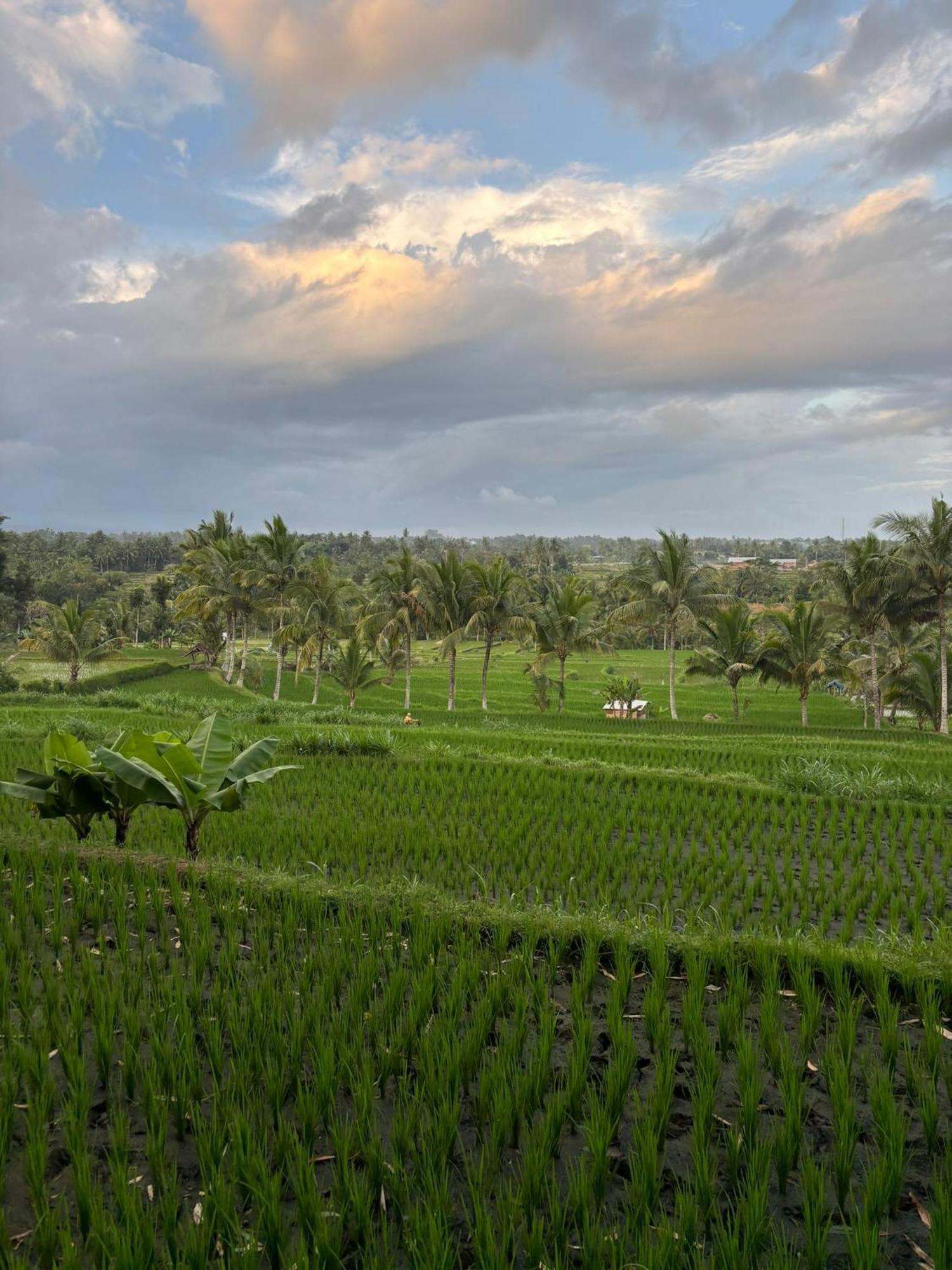 Muni'S Terrace Bungalow Kotaraja Buitenkant foto
