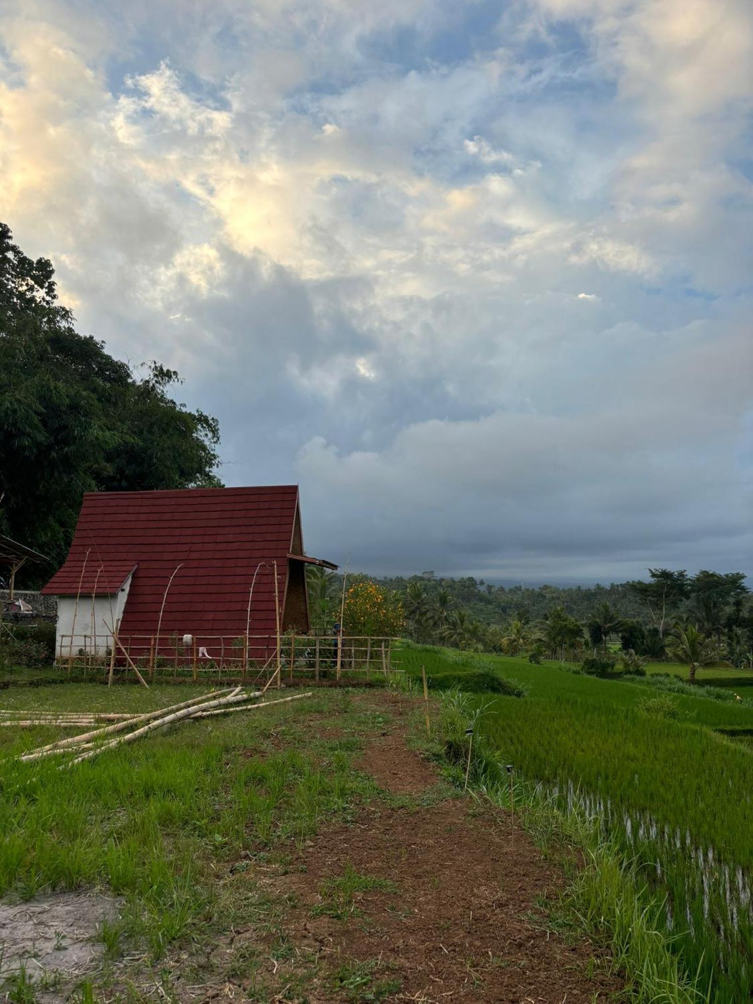 Muni'S Terrace Bungalow Kotaraja Buitenkant foto