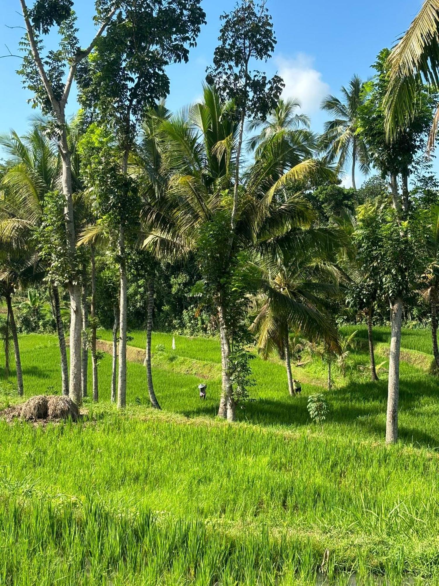 Muni'S Terrace Bungalow Kotaraja Buitenkant foto