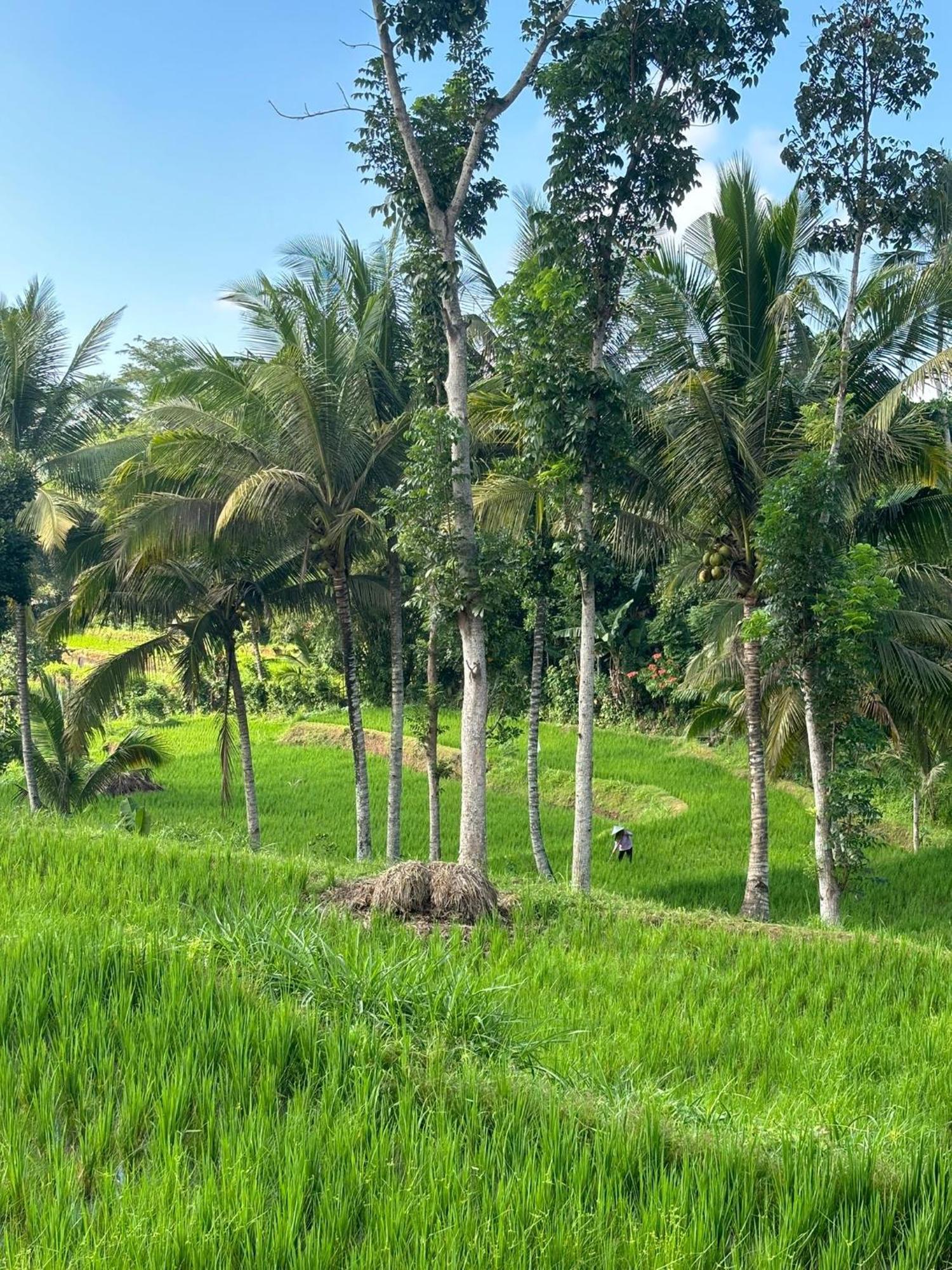 Muni'S Terrace Bungalow Kotaraja Buitenkant foto